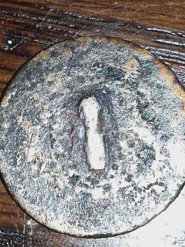 Coin-Dug-Up-In-British-Garden